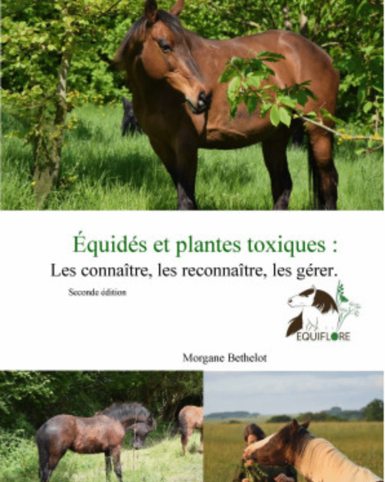 Livre "Équidés et plantes toxiques : Les connaître, les reconnaître, les gérer" par Morgane Bethelot