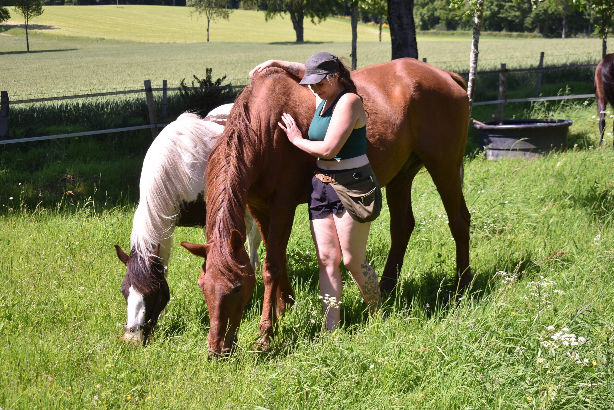 Morgane Bethelot et ses chevaux.