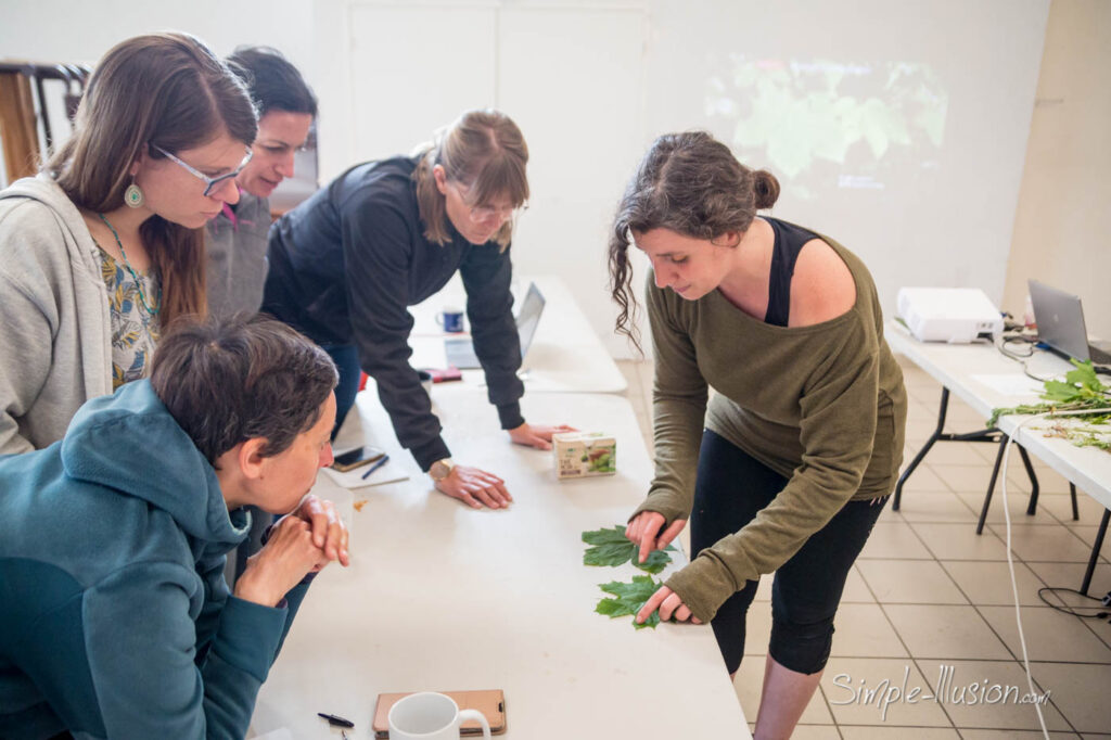 Apprendre à reconnaître les plantes toxiques ou non avec Equiflore.