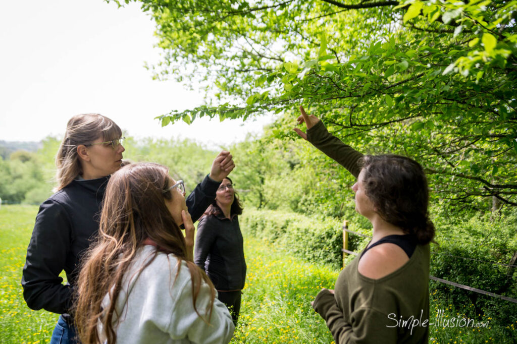 Reconnaître les arbres fourragers avec Equiflore.