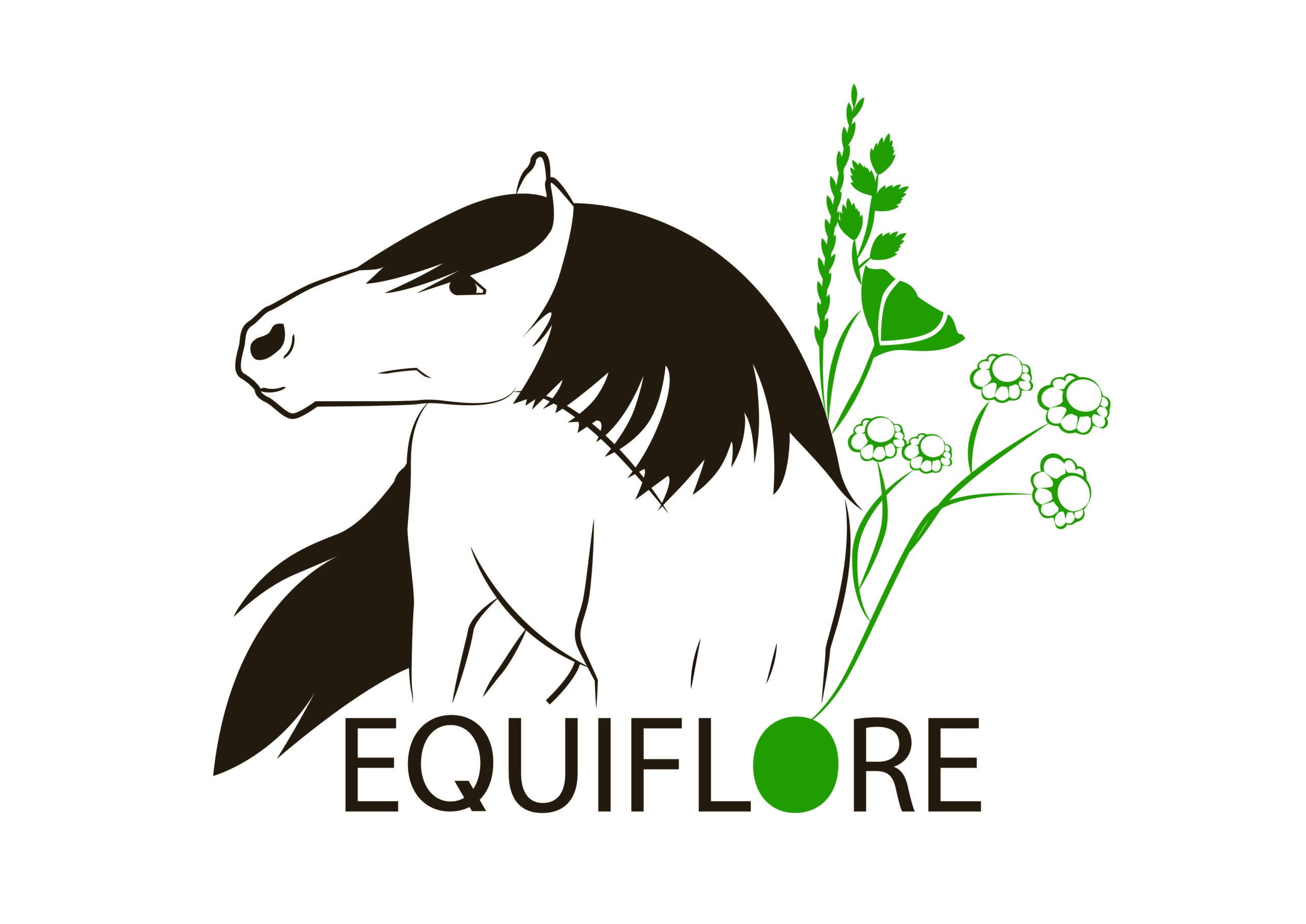 Logo Equiflore