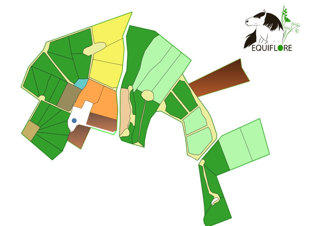 Exemple de plan Equiflore.